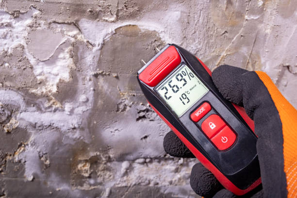 Best Mold Testing  in Chula Vista, CA