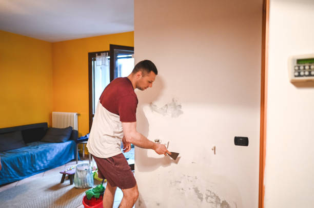 Best Best Mold Removal Companies  in Chula Vista, CA